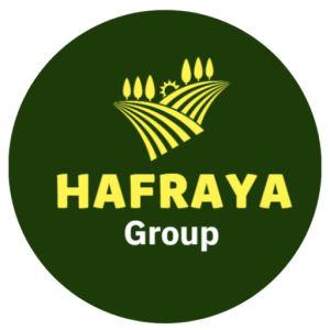 logo hafraya png